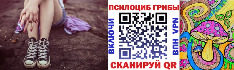 Псилоцибиновые грибы GOLDEN TEACHER  Купить закладки  Партизанск 